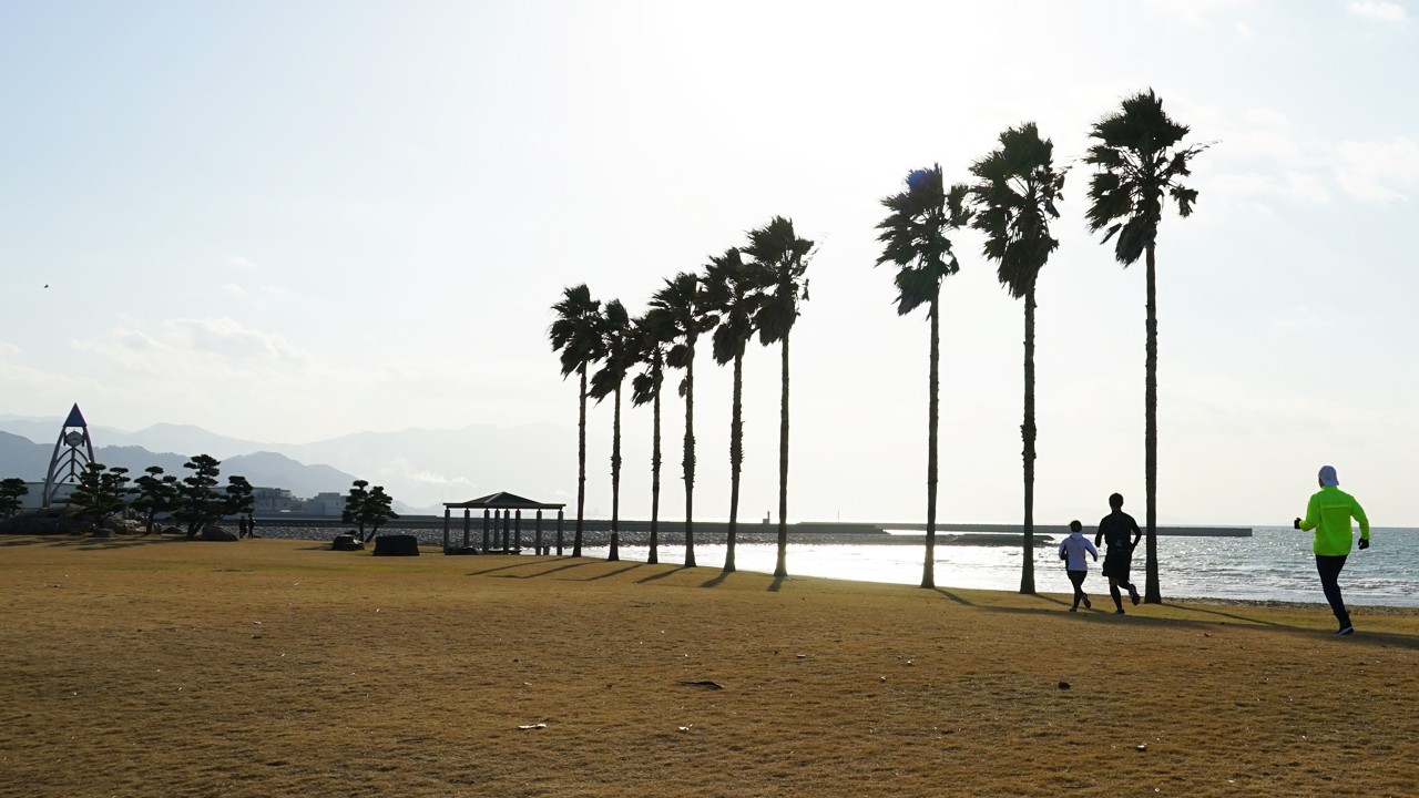離れていても深まるランナーと島の絆 バーチャル瀬戸内海タートル・フルマラソンの模様をレポート！