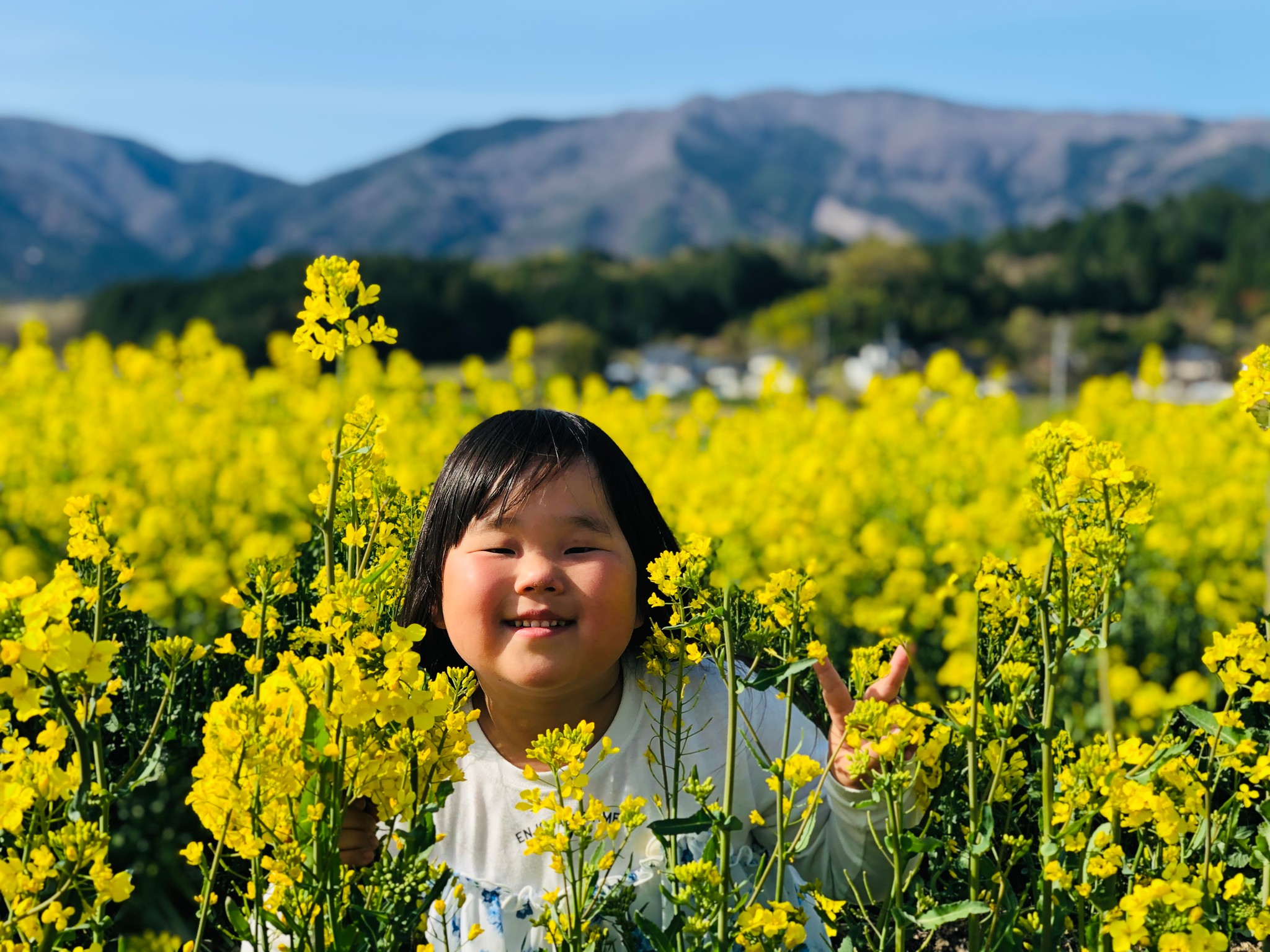 SNS映え「菜の花畑」は今が見頃！　見て遊んで食べて楽しめる絶景の仕掛人はエコファーマー認定農家