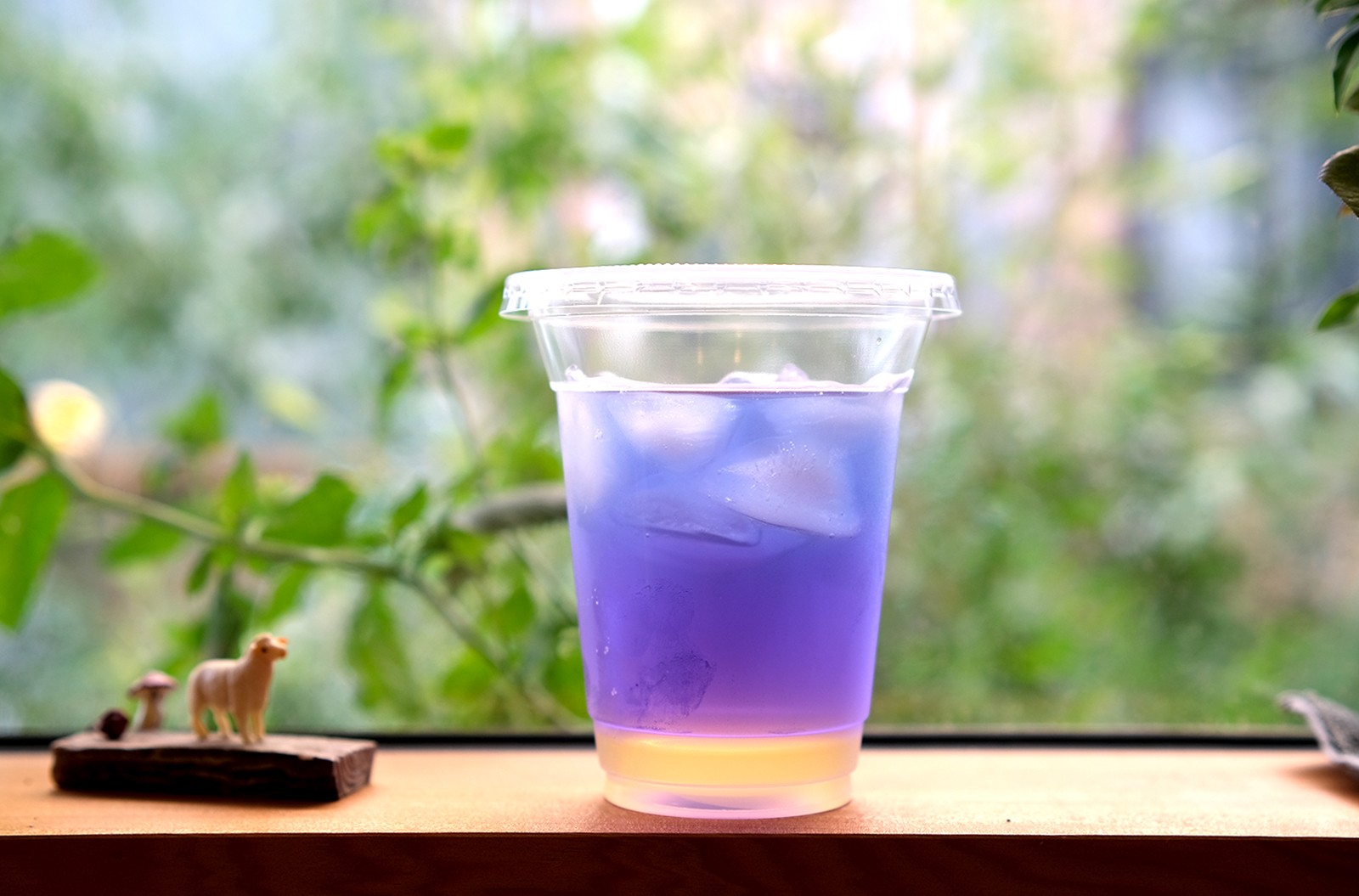 バタフライピーの「天然の青」をハーブティーで堪能　生産者の真心を添えて