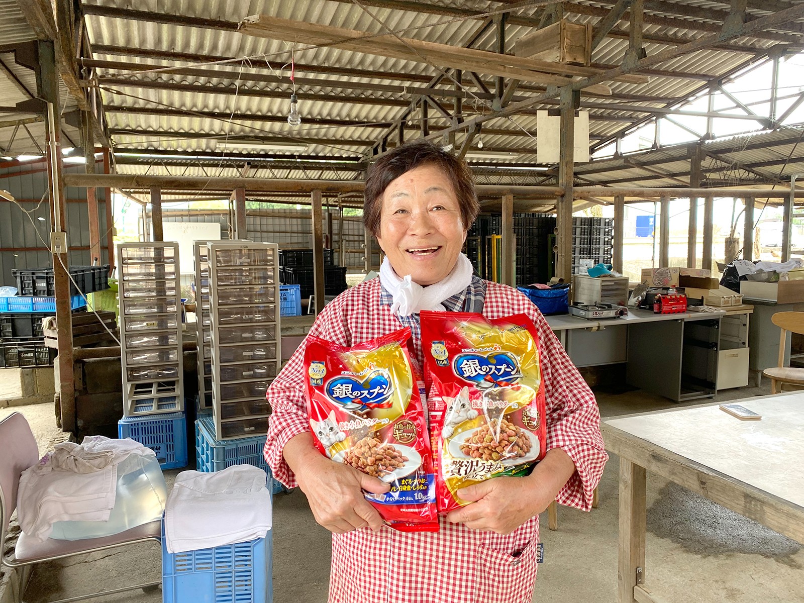 日本レスキュー協会
