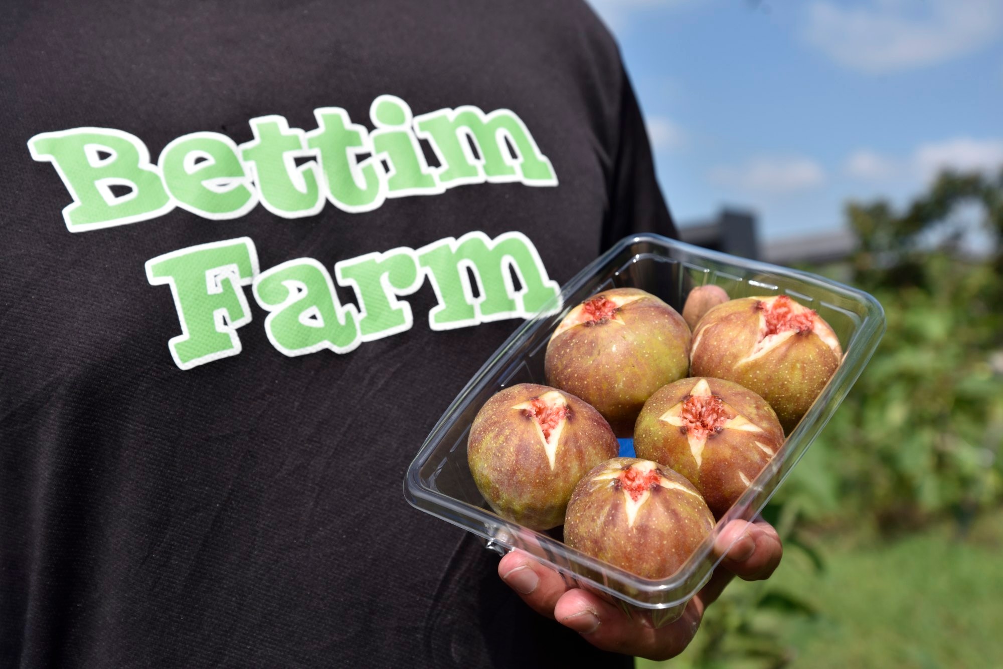 「目の前にはチャンスしかない」　香川発「はざまいちじく」を全国に