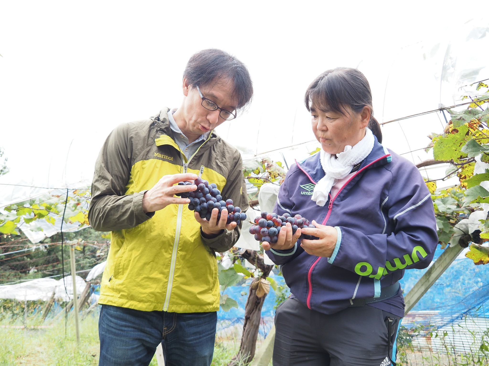 自ら食材を収穫するパティシエ　焼き菓子づくりで伝える地域の魅力