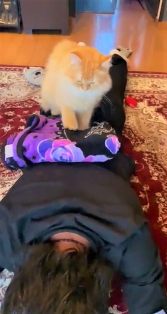 ぎっくり腰で猫が肉球マッサージ！　「うちにも派遣してくれにゃいかな」