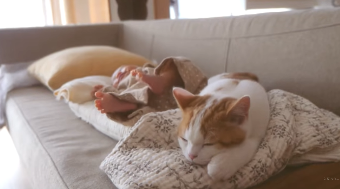 『赤ちゃん…9さん提供