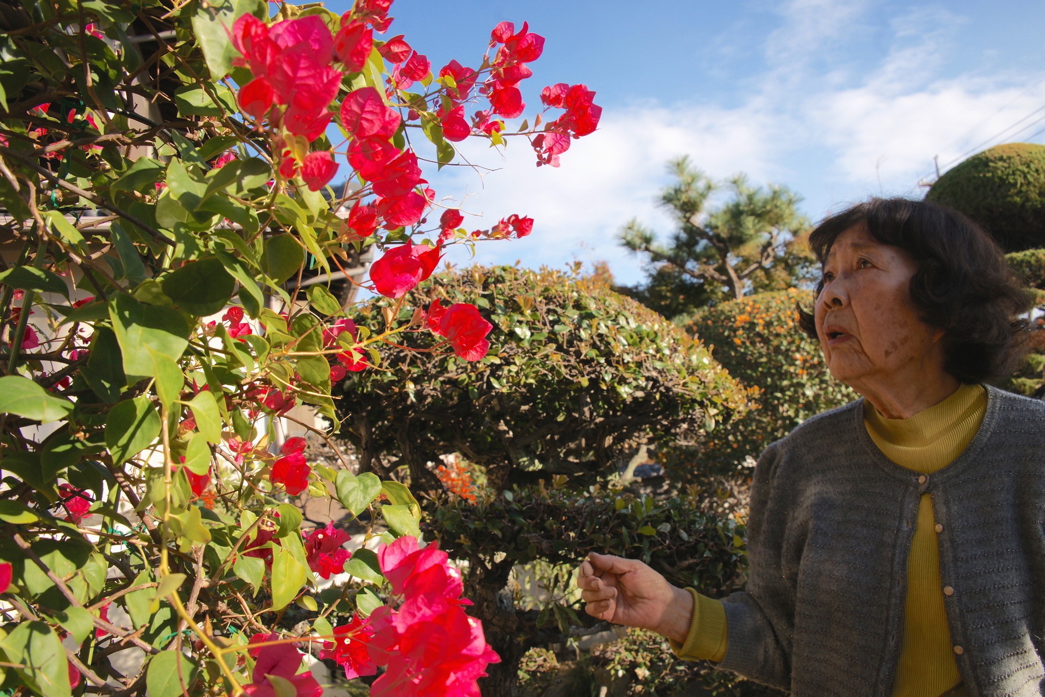 「虫ガール」退職後の充実セカンドライフ　虫好きの姫君に自身を重ねて