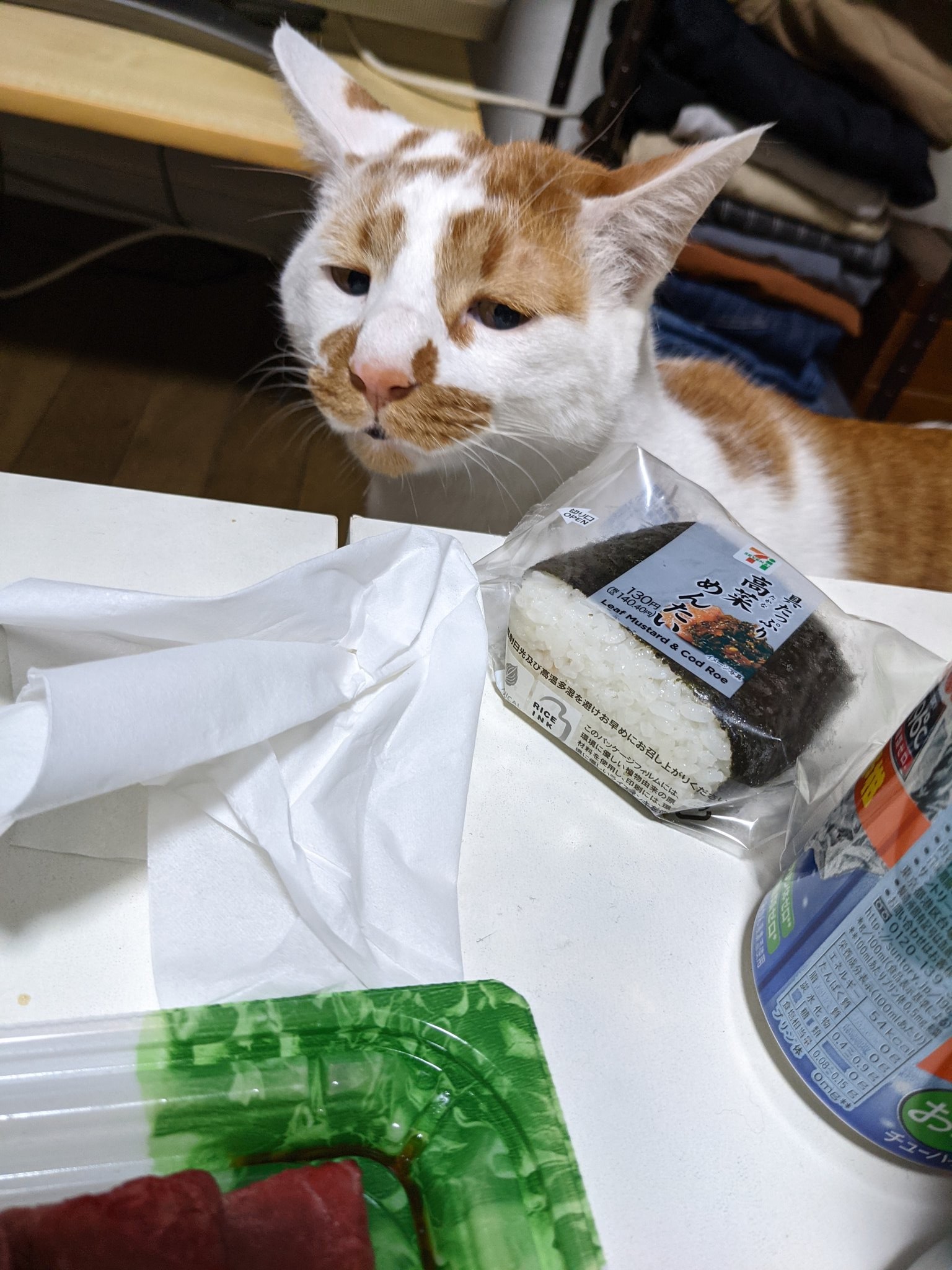 「それくれニャいの？」　飼い主の食べ物が欲しい猫、その切実な表情が秀逸