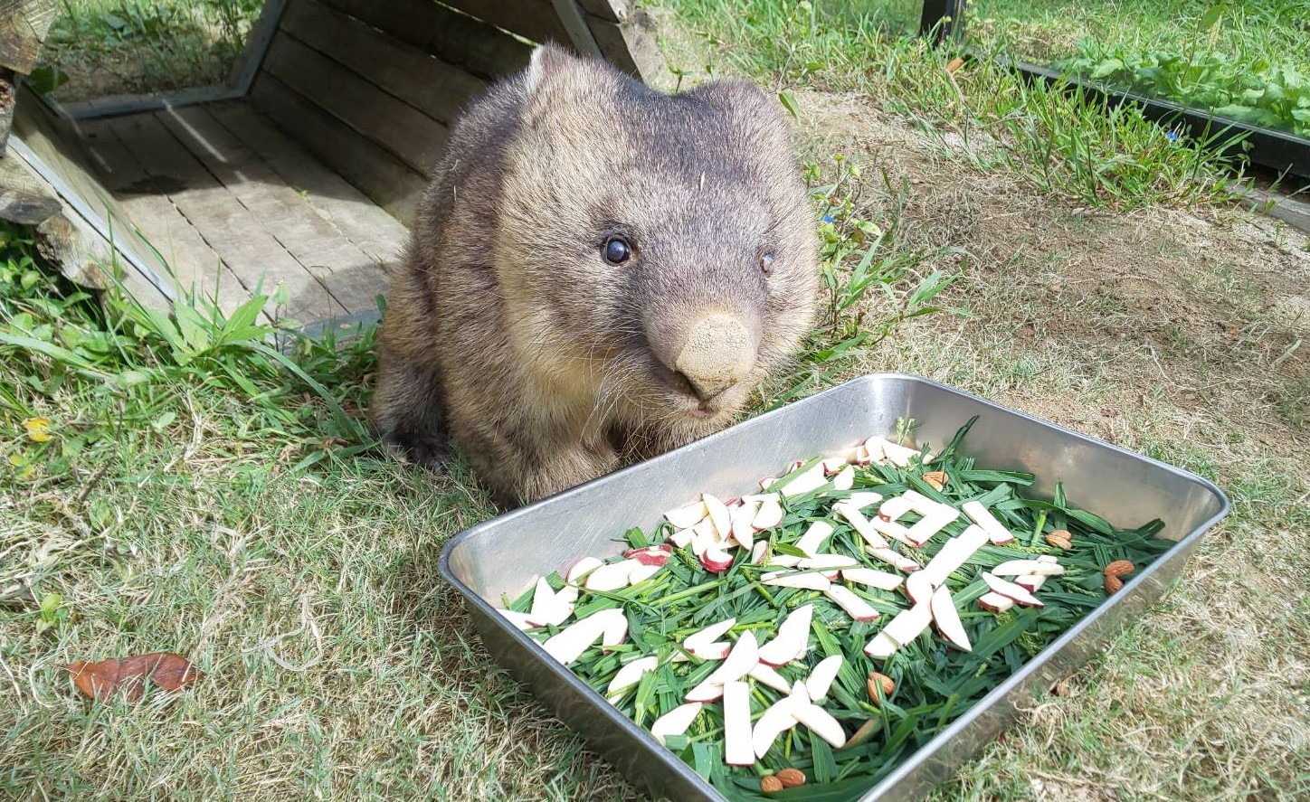 2021年の敬老の日のお祝い時の様子（提供写真） 
