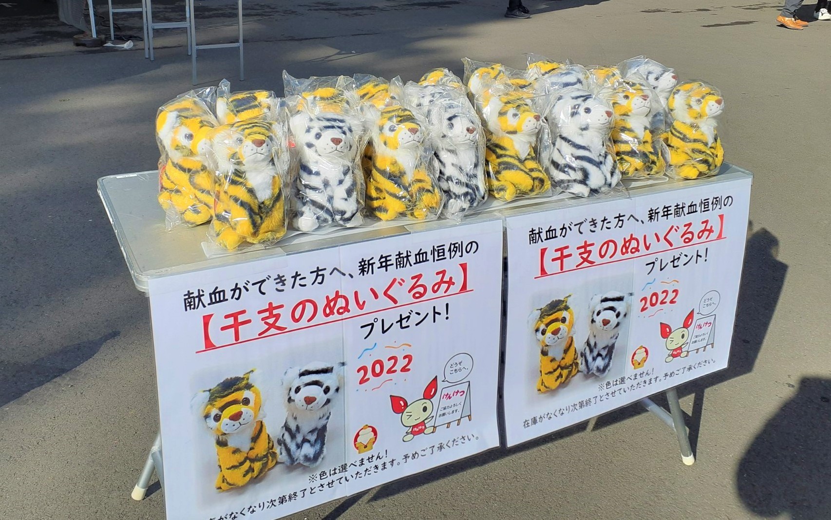 明治神宮の…提供写真）