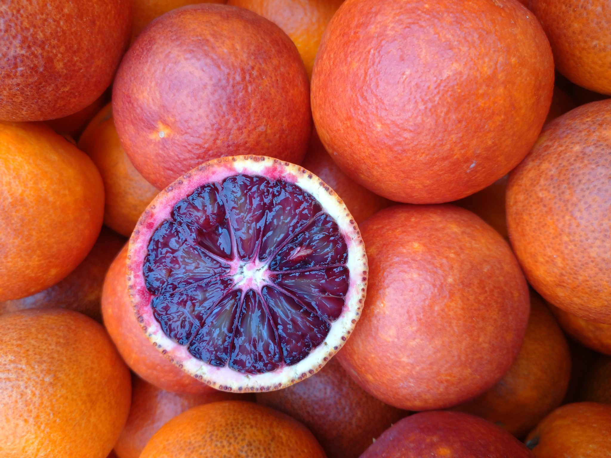 ブラッドオレンジを小豆島の特産品に！　荒れ果てていた耕作放棄地を再生