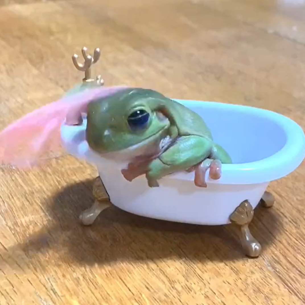 シャンプー…より提供）