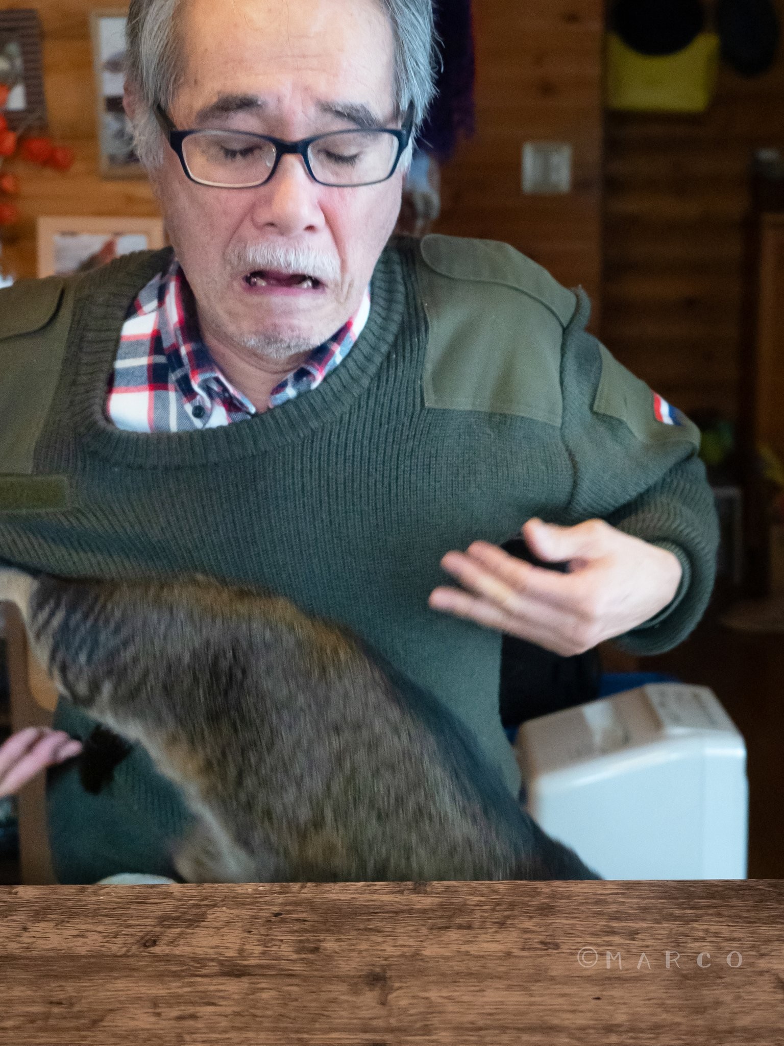 無念！猫を落としたお父さん　4コマ漫画みたいなツイートに6万の「いいね」