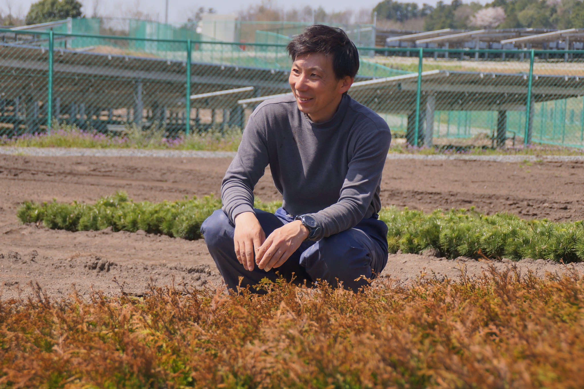 生活に欠かせないヒノキやスギ　種から育てる人々の知られざる努力