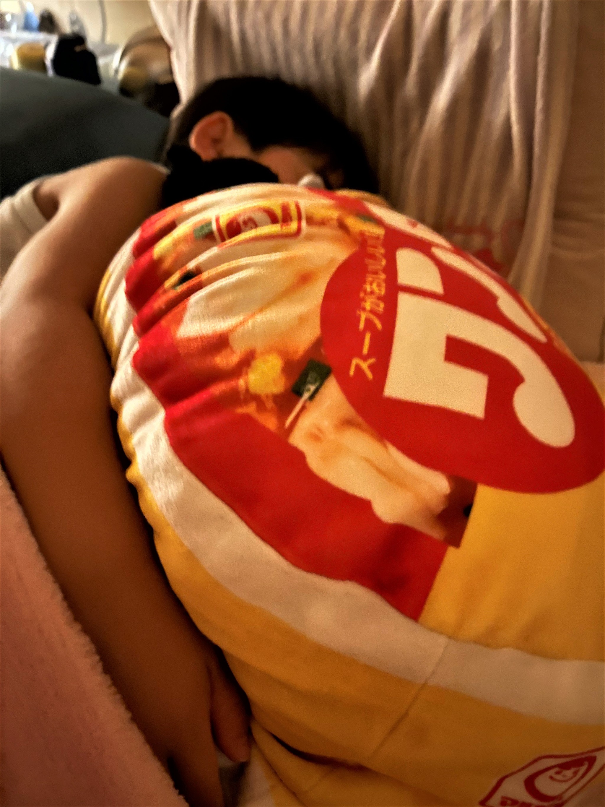 【これぞSNSの力】息子が唯一食べたワンタンのクッションをくれた人にお礼を言いたい→再会の夢叶う