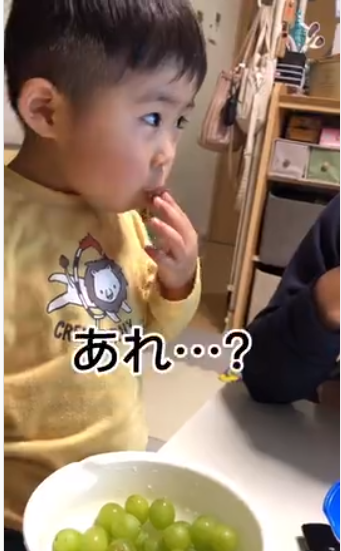 マスカットに混ざったミニトマト→すぐさま異変に気付く息子　「可愛すぎ」「違いが分かる男だぁ」
