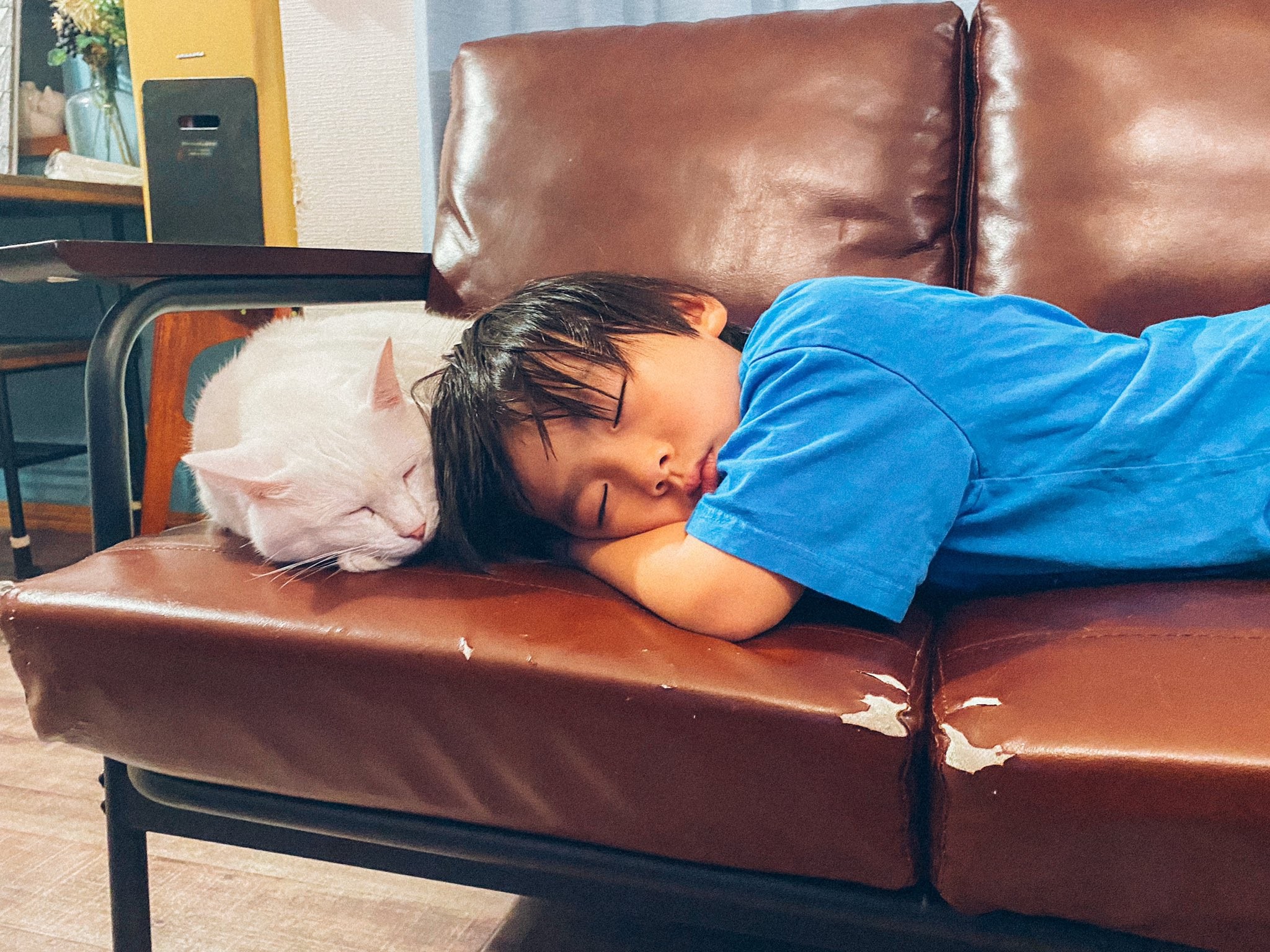 ソファーで寝落ちした息子に猫が「添い寝」　“変わらない関係”にほっこりする人が続出