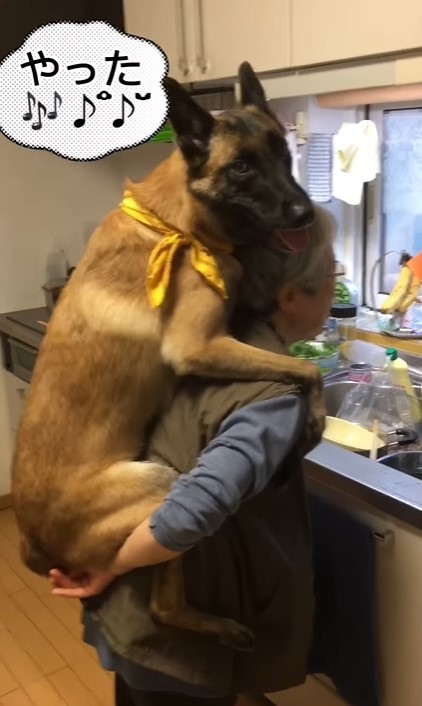 約25キロの大型犬、74歳のお母さんに「おんぶして～」　我慢しきれず飛び乗りご満悦♪