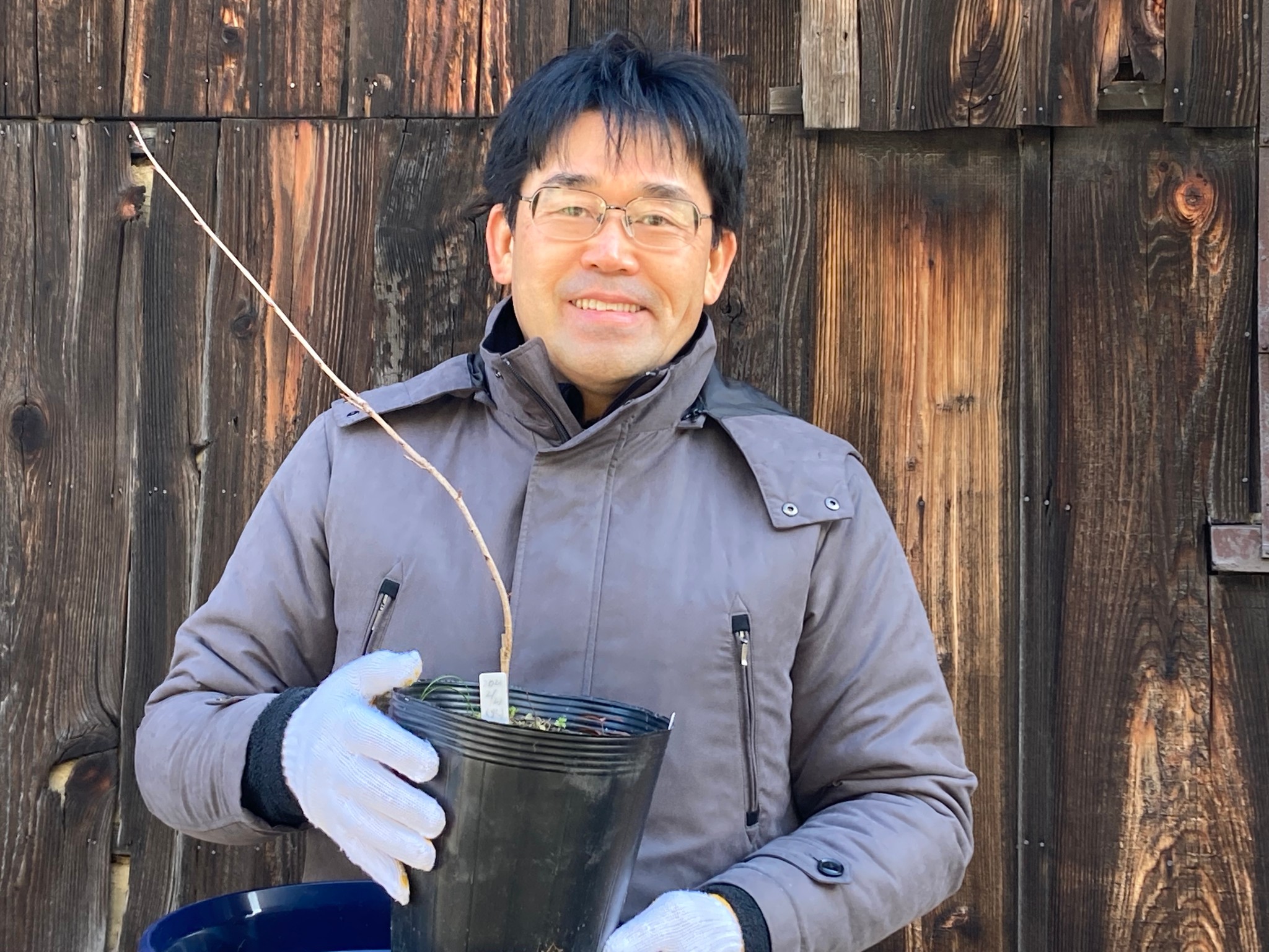 発見した新品種の桜で「桜の街道」を作りたい　100本の苗木育成に向け、里親募集中