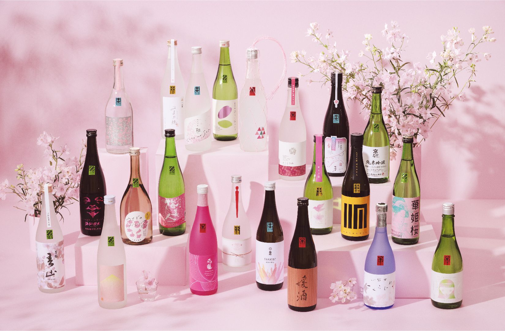 愛媛から世界へ！ 県オリジナル品種の花が日本酒に　開発プロジェクトへの思いを県庁に取材