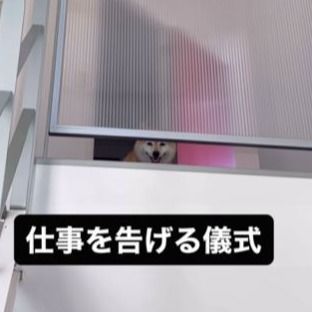 「行ってくるからね」その一言で消えたワンちゃんの笑顔に「せつない」「納得いってないのね」の声