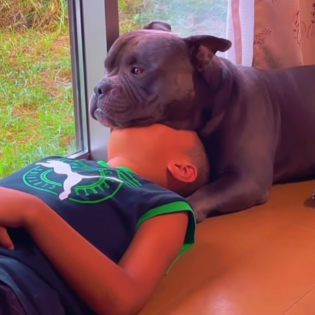 わんちゃんと男の子の朝の一コマに…→「見た瞬間吹いちゃいました」「体験してみたい」の声