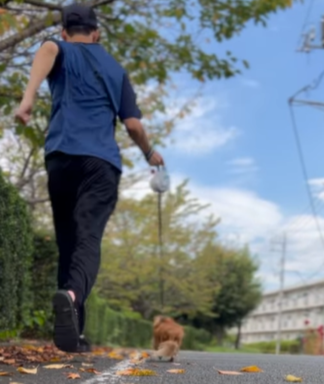 お散歩が好き過ぎる犬は何回目で飽きるのかの検証→「お散歩」の言葉に反応する姿に「可愛い」の声！