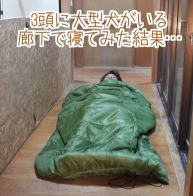 飼い主が廊下で寝てみたら…→大型犬たちによって廊下が天国に！？「羨ましい」「幸せそう」の声