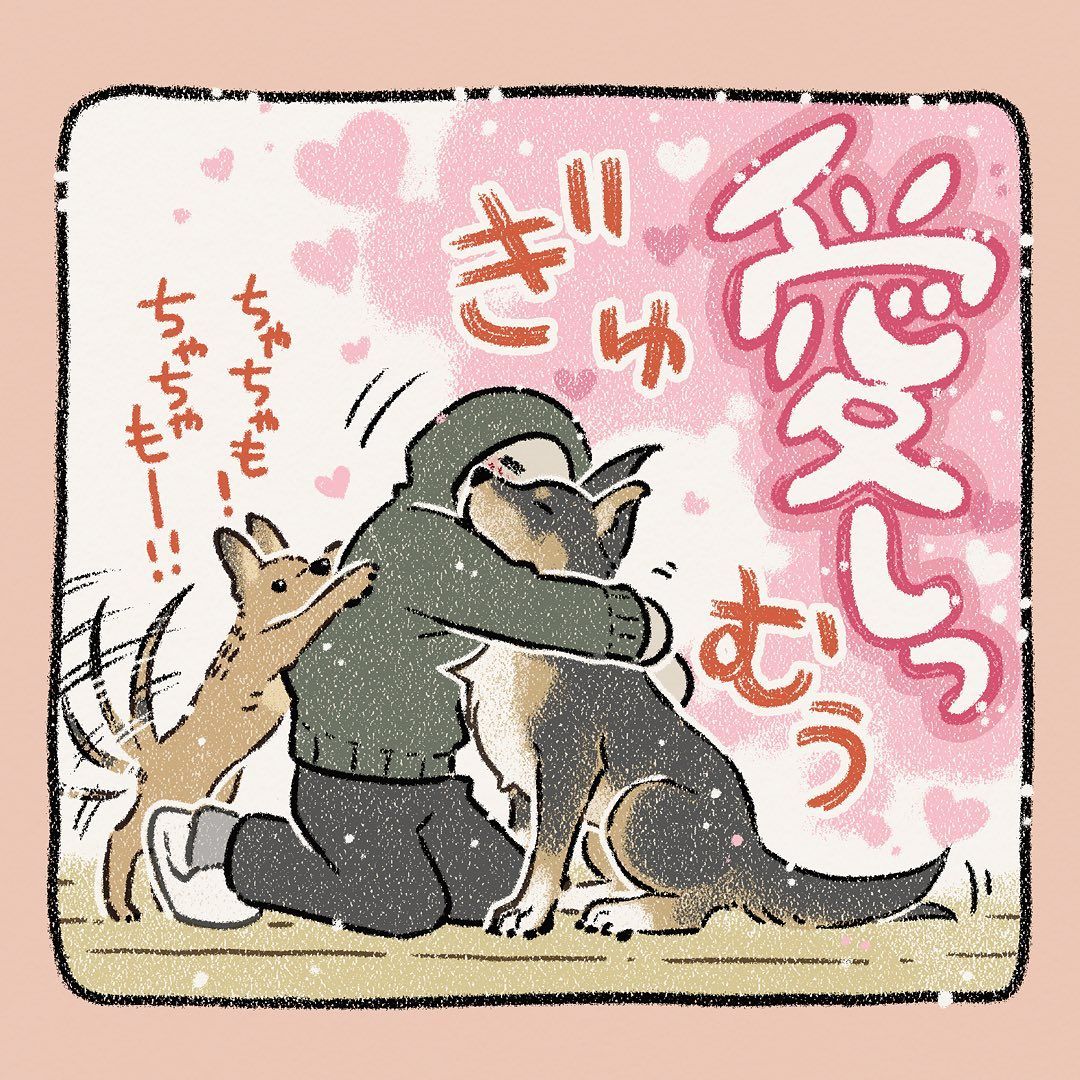 元放浪犬2匹がお留守番をしたら…　動画に記録された”愛に溢れた”それぞれの可愛すぎる姿に「愛しっ…！」