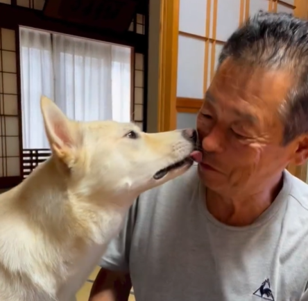 「2階で一緒に寝ようよ」毎晩20時にじいちゃんを誘うワンちゃん　二人のラブラブな様子に「まるで新婚夫婦」「甘えるのが上手」の声