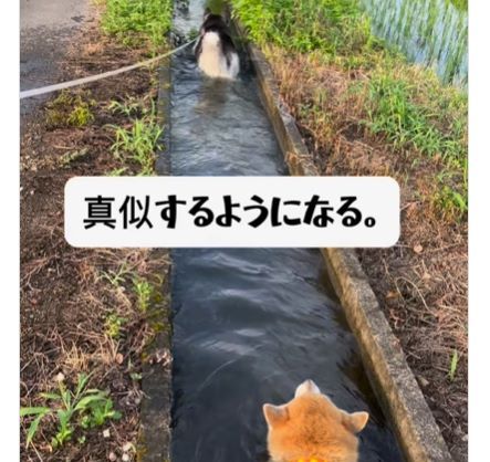 似る⑤