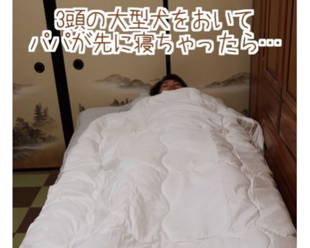 飼い主が先に寝てしまったら…→大型犬たちによって世界一幸せなシングルベッドに！？「これは幸せ」「羨ましい限り」の声