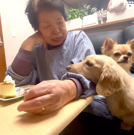犬が苦手だったおばあちゃん　→しかし、現在の姿に「愛がすごい」「素敵なお母様」の声