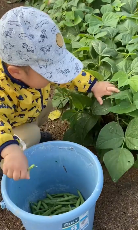 araka…んより提供