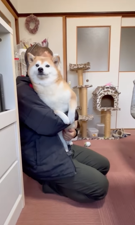 s.k.9…んより提供