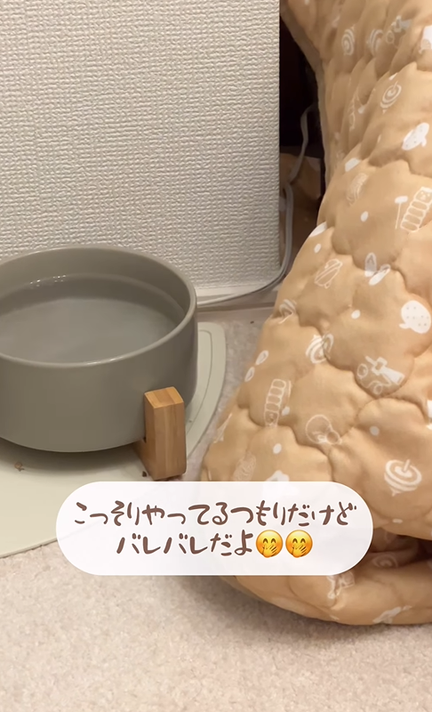 ___me…んより提供