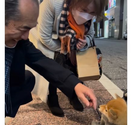大の犬好きの両親に柴犬を飼ったことをサプライズで伝えたら…→2人の反応に「溺愛確定」「幸せのお裾分け」の声