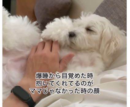 え①