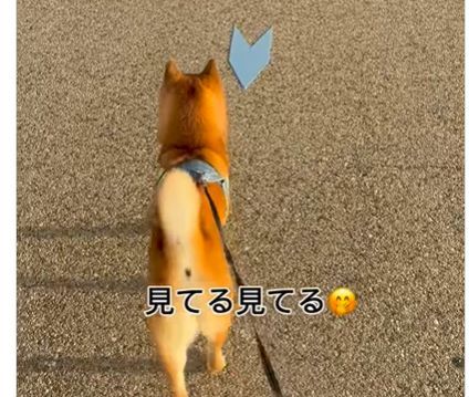 サプライズ③