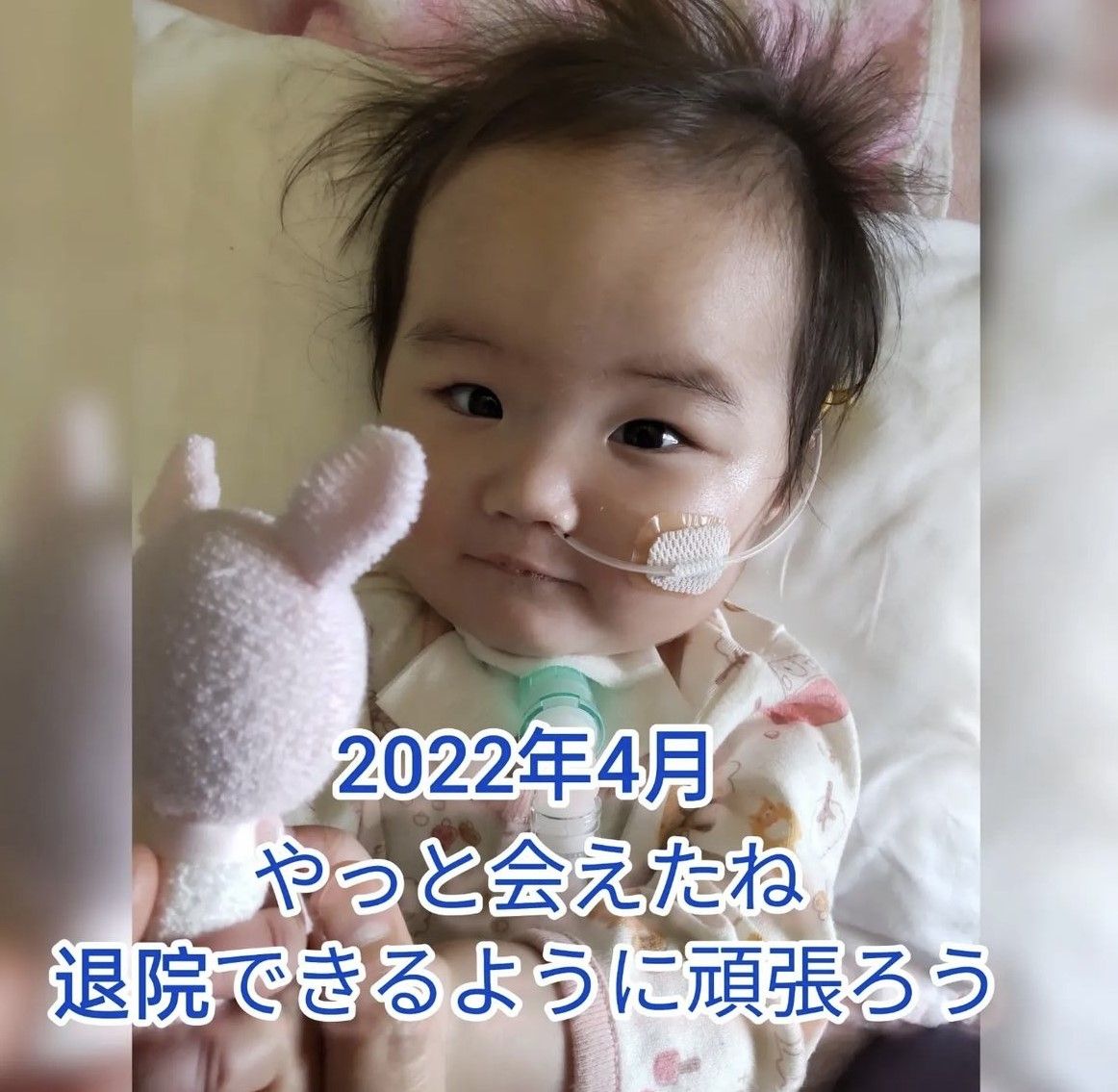 付き添い入…ん提供)